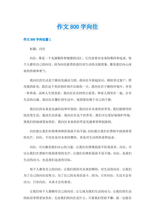 作文800字向往