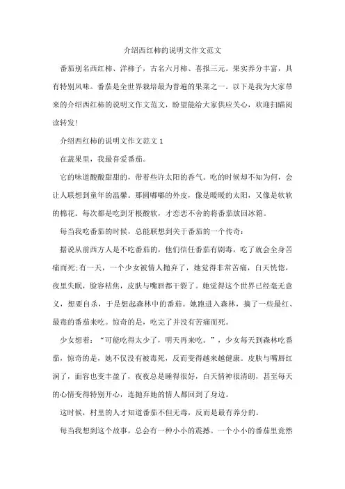 介绍西红柿的说明文作文范文