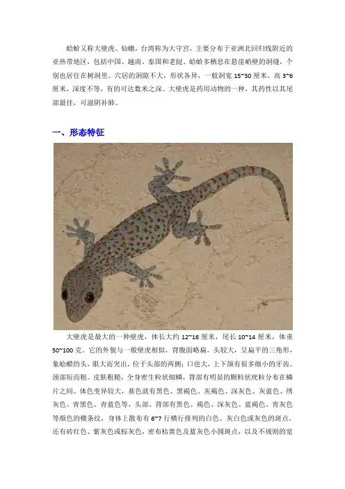 蛤蚧