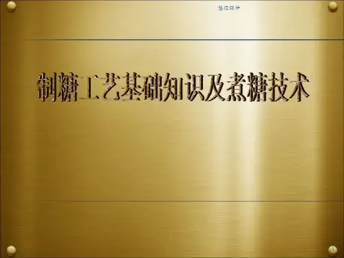 制糖工艺基础知识及煮糖技术上课