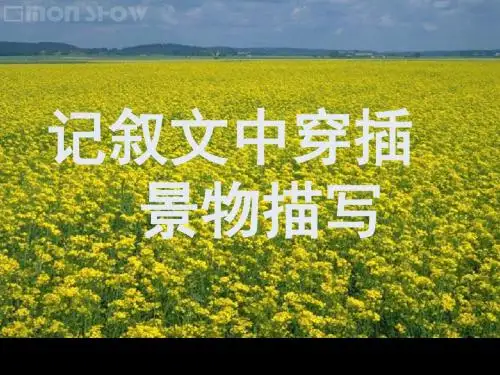 初中记叙文中穿插景物描写ppt