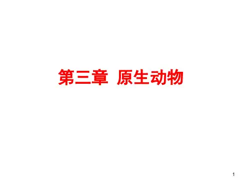 生物竞赛动物学教学课件第三章 原生动物 