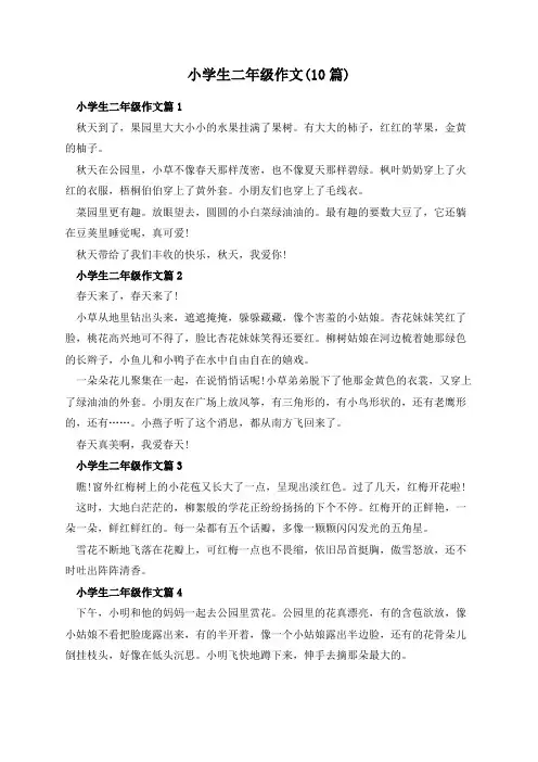 小学生二年级作文(10篇)