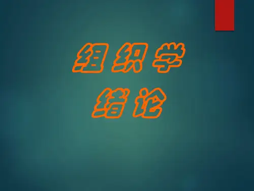 组织学和胚胎学-PPT课件