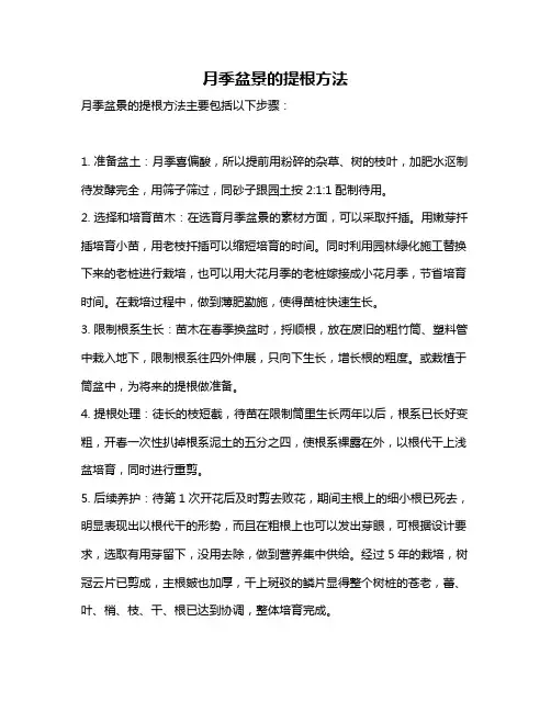 月季盆景的提根方法