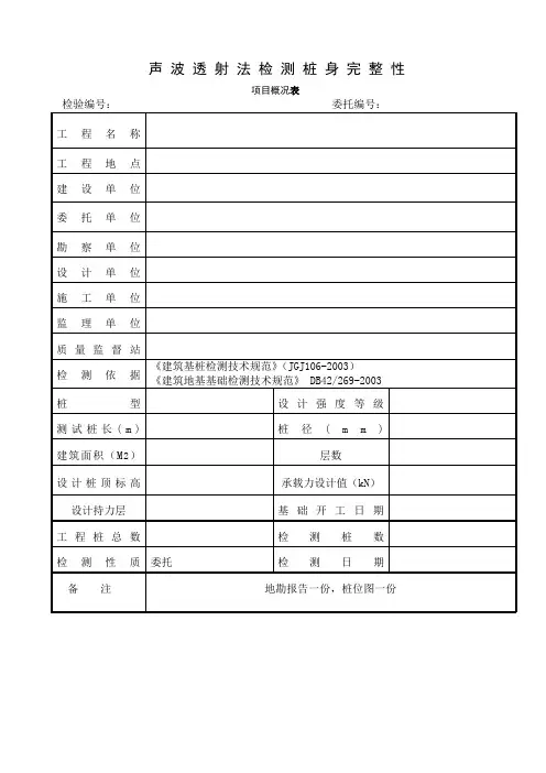 声波检测现场记录表