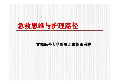 急救思维与护理路径_急诊科病例PPT