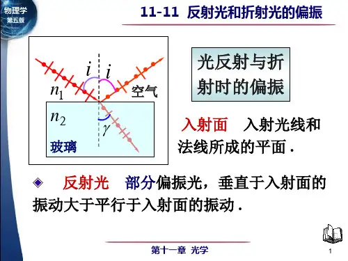 反射光和折射光的偏振