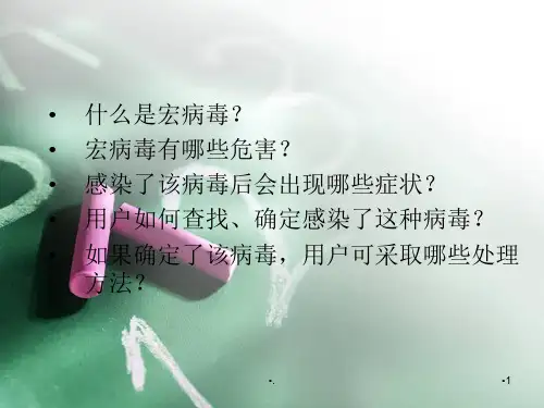 宏病毒分析报告优秀课件
