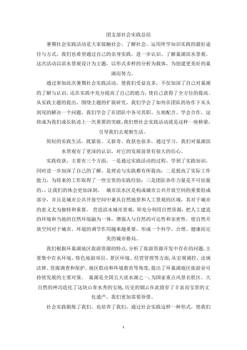 最新团支部社会实践总结