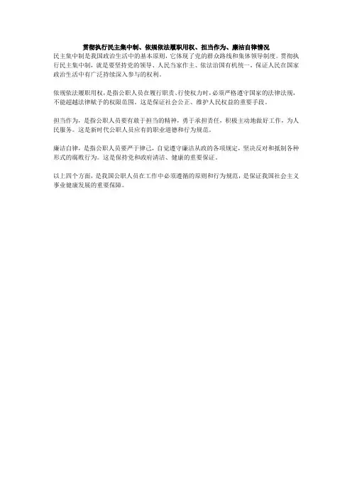 贯彻执行民主集中制、依规依法履职用权、担当作为、廉洁自律情况