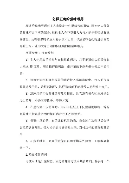 怎样正确给猫咪喂药