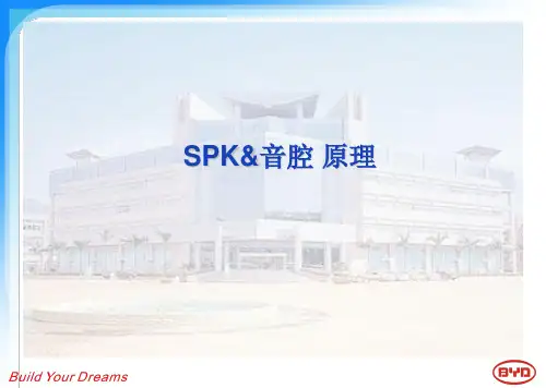 SPK音腔