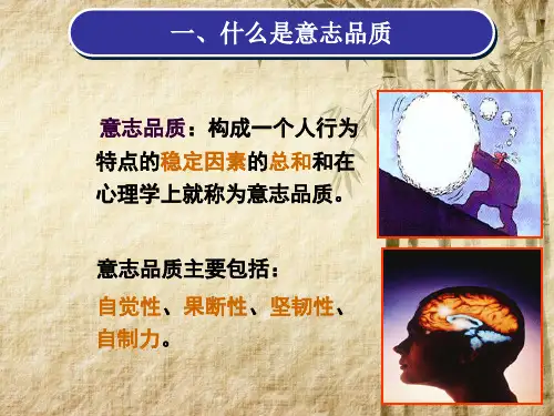 主题班会：心理健康教育意志力课件