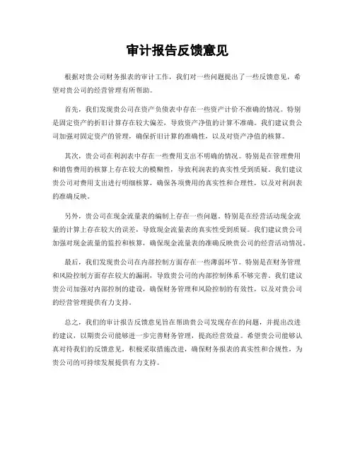 审计报告反馈意见