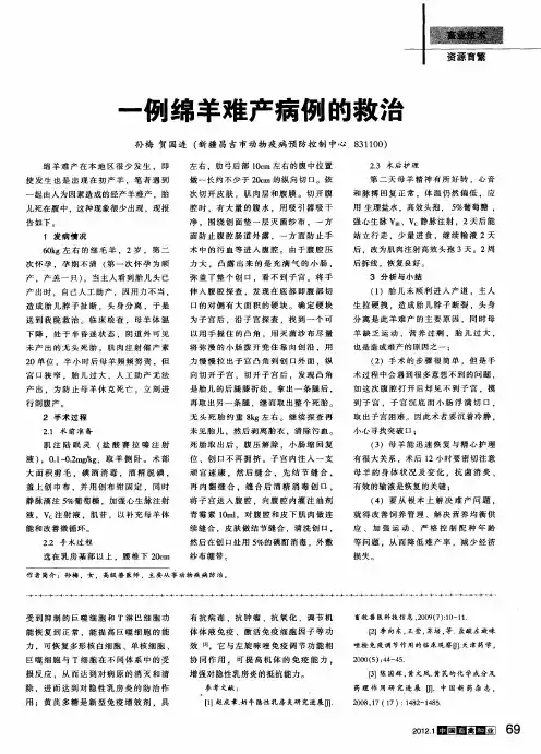 一例绵羊难产病例的救治
