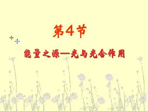 生物学③必修5.4 《能量之源──光与光合作用》(新人教版-必修3)PPT课件_Hooker