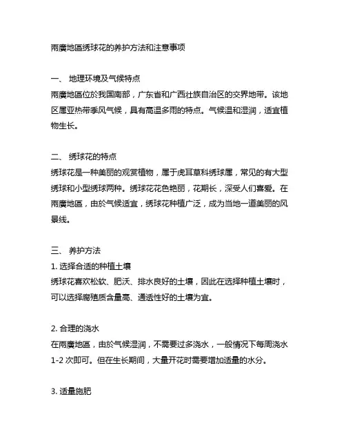 两广地区绣球花的养护方法和注意事项