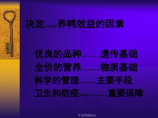 常见鸭病防治课件