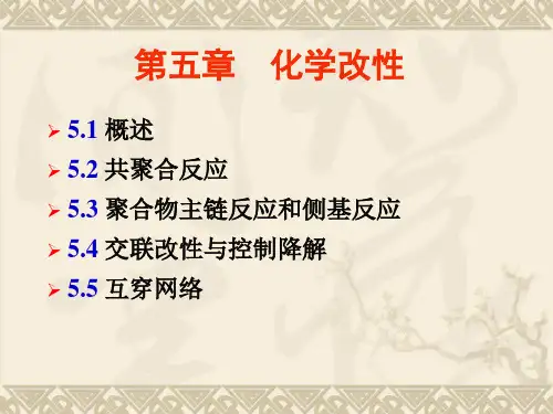 第05章 化学改性ppt课件
