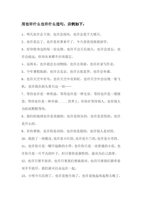 用也许…也许造一句话