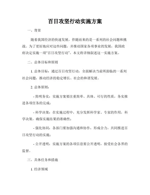 百日攻坚行动实施方案