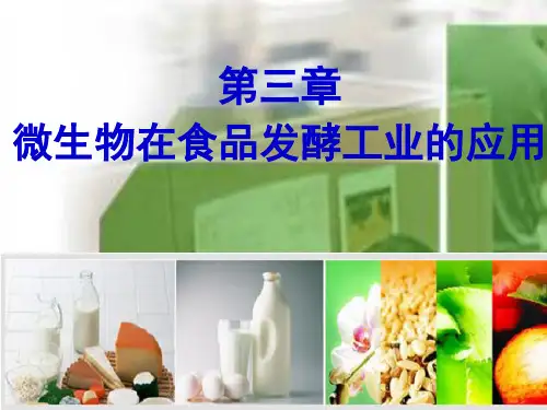 第三章微生物在食品制造中的应用