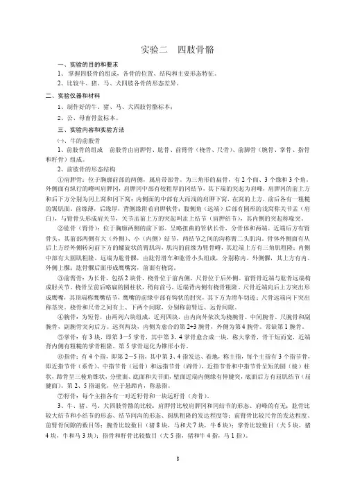 实验二四肢骨骼