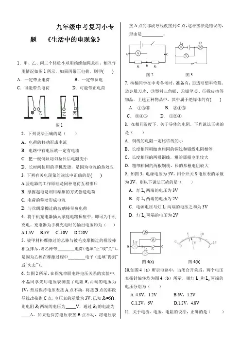 2020中考复习小专题《生活中的电现象》(试题+答案PDF)