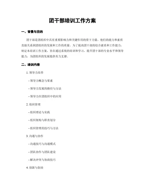 团干部培训工作方案