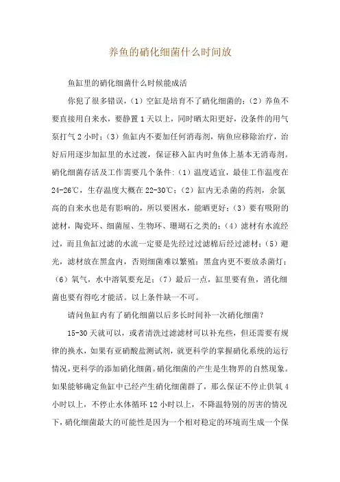 养鱼的硝化细菌什么时间放