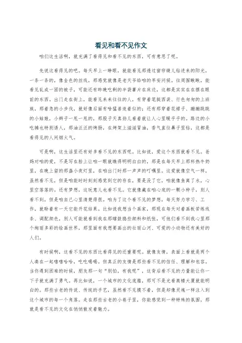 看见和看不见作文