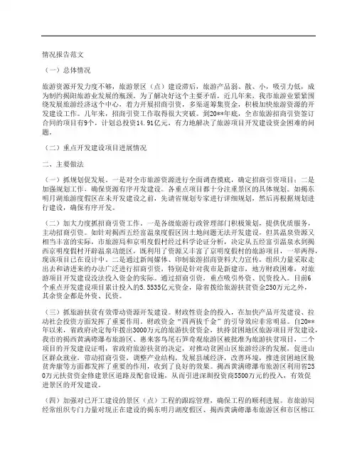 情况报告范文