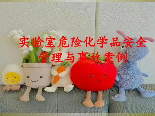 实验室危险化学品安全管理与事故案例PPT课件
