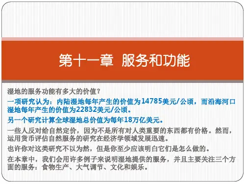 湿地生态学 第11章 湿地服务和功能