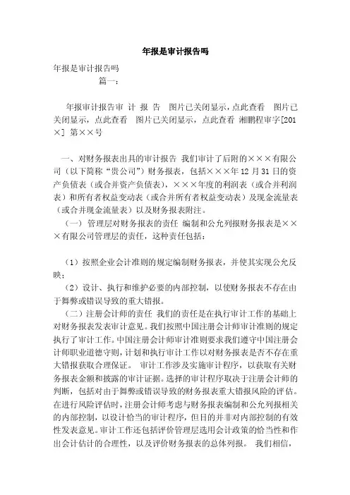年报是审计报告吗