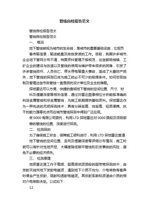 管线自检报告范文