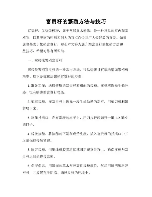 富贵籽的繁殖方法与技巧