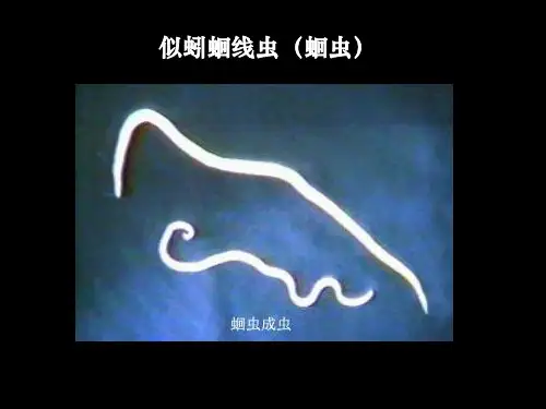 人体寄生虫图谱(共207张)