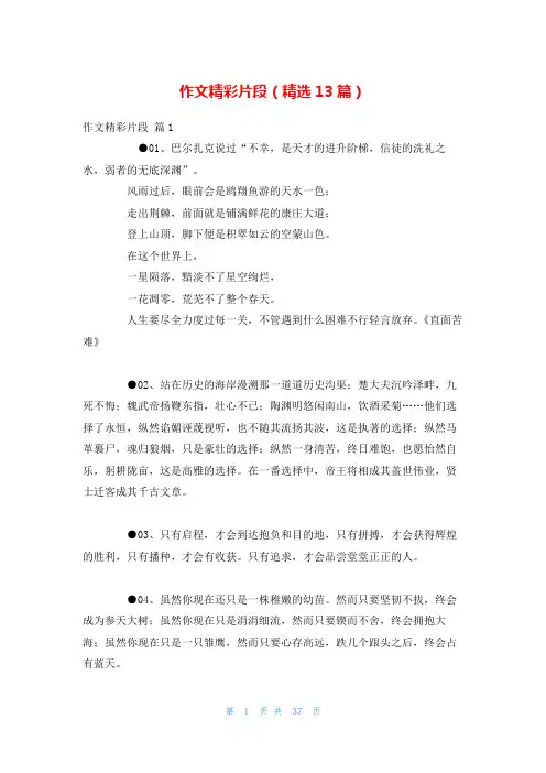 作文精彩片段(精选13篇)