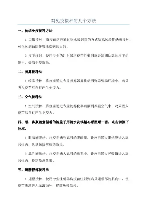 鸡免疫接种的九个方法