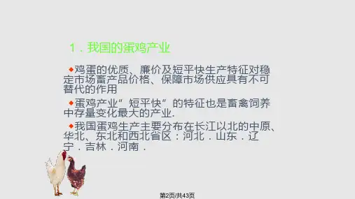 蛋鸡饲养新技术.pptx