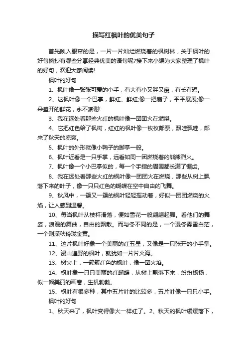 描写红枫叶的优美句子