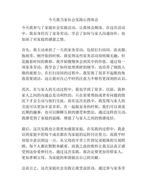 今天我当家社会实践心得体会