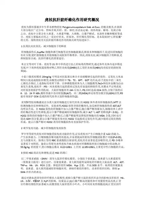虎杖抗肝脏纤维化作用研究概况
