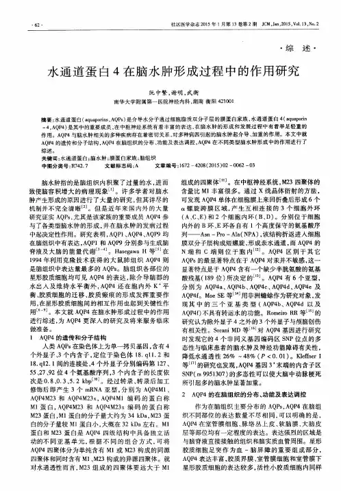水通道蛋白4在脑水肿形成过程中的作用研究
