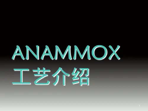 厌氧氨氧化(ANAMMOX)工艺介绍PPT幻灯片