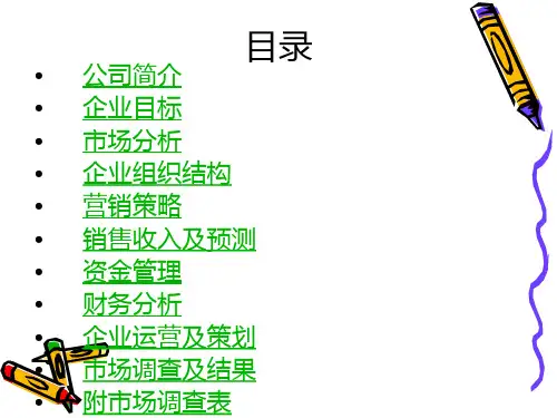 创业计划幻灯片PPT