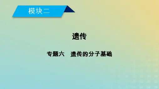 2019高考生物大二轮复习专题六遗传的分子基次件2