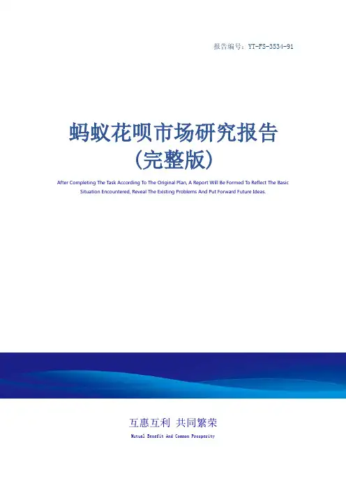 蚂蚁花呗市场研究报告(完整版)